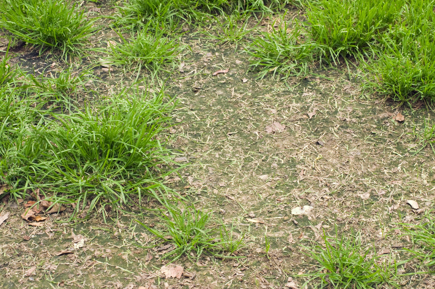 How to Install Artificial Grass On Dirt