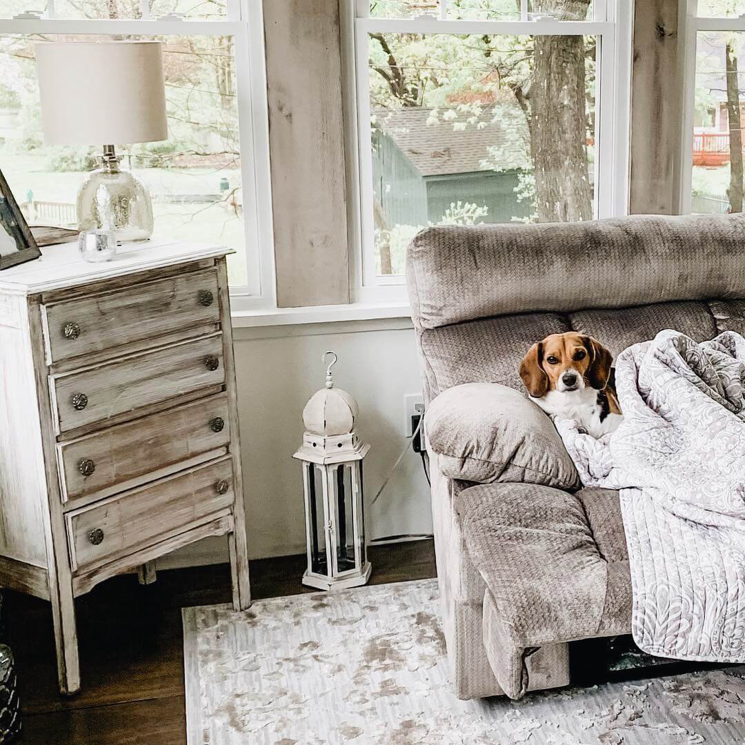 5 Ways to Pet Proof Your Home Ashley Furniture HomeStore