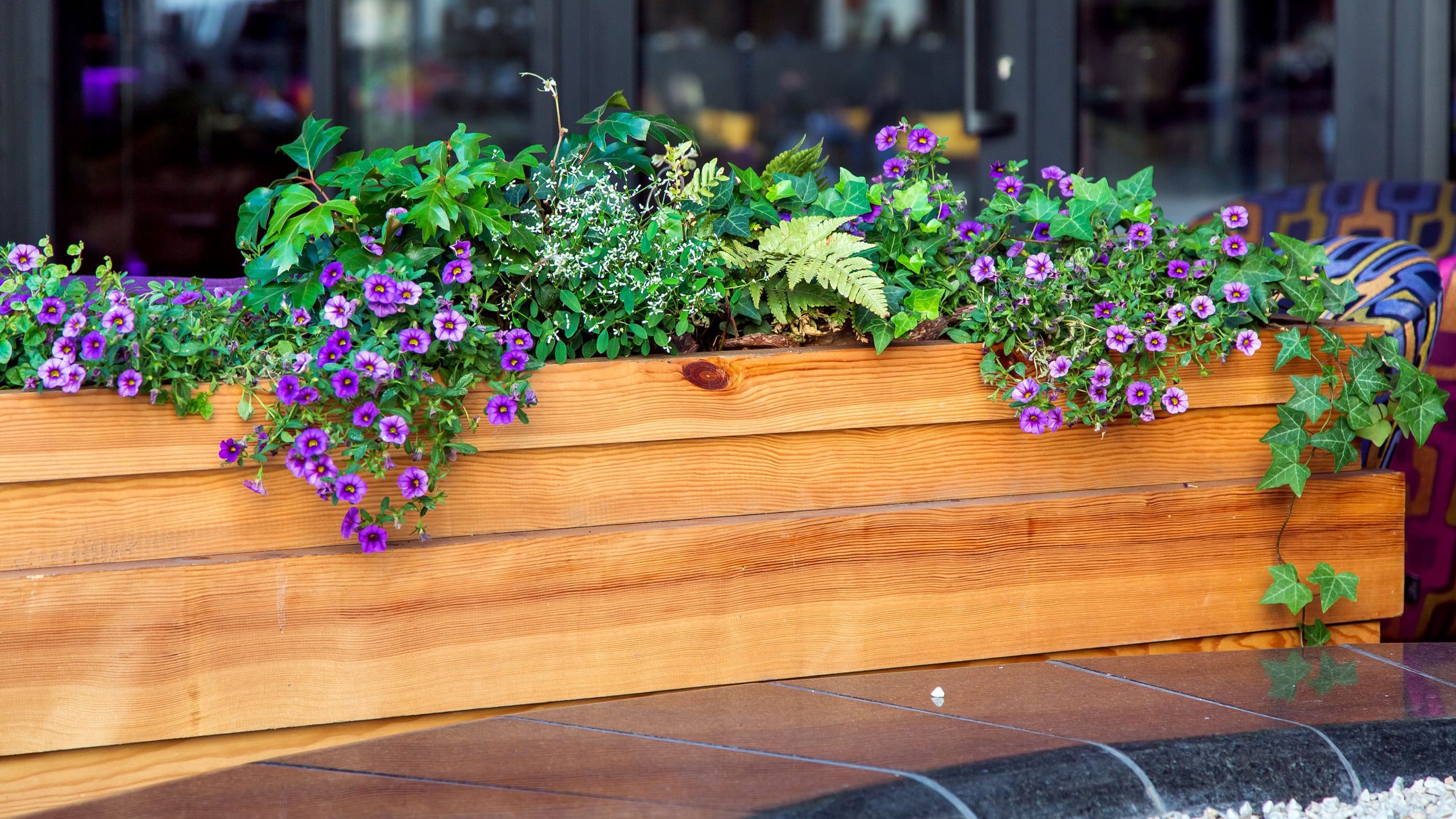 A Comprehensive Guide to Choosing the Best Planter Box Atome Pay