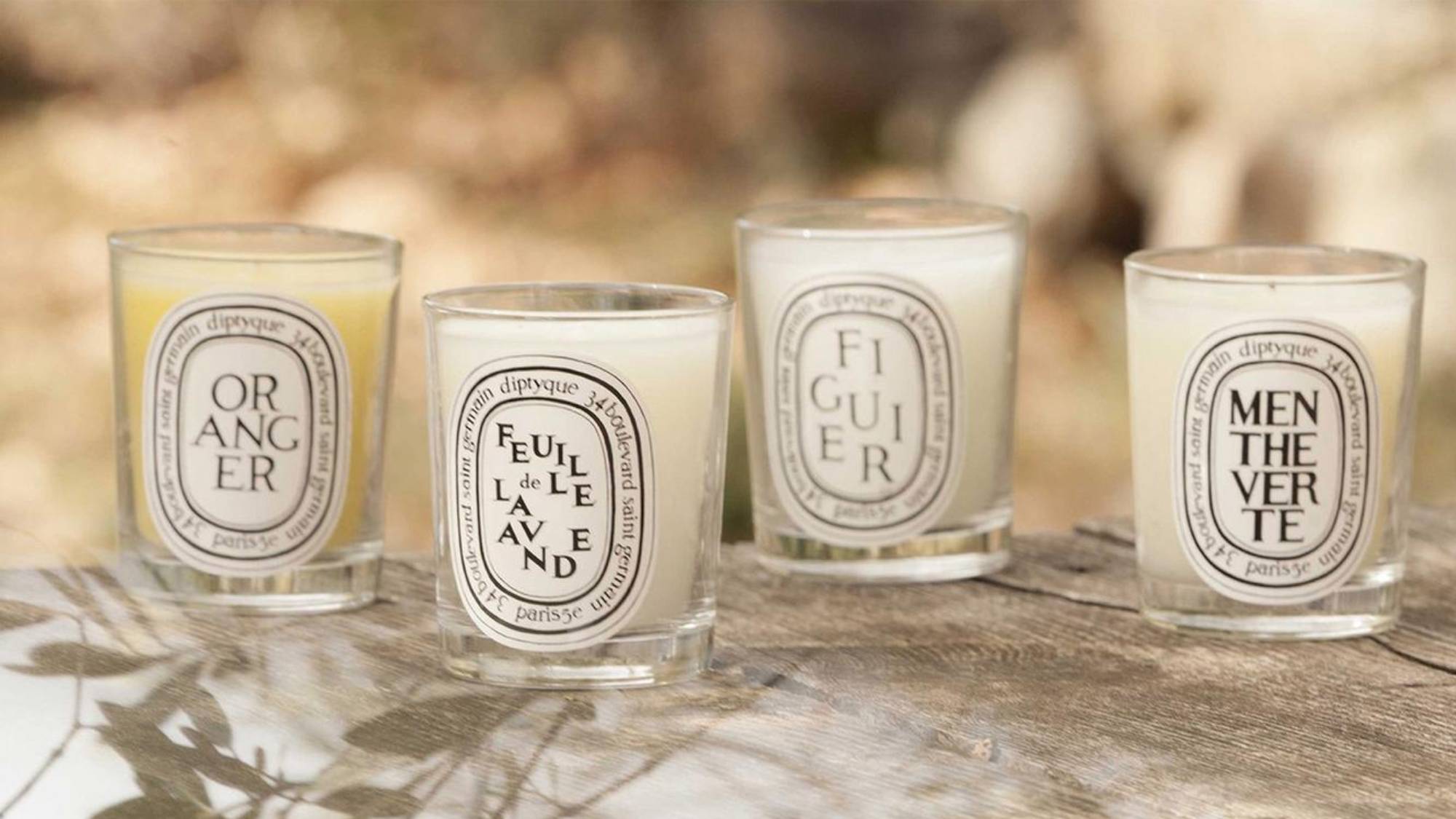 Why are Diptyque Candles from Singapore so Sought after? Atome Pay