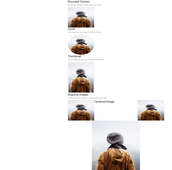How To Add Background Image In Bootstrap 4
