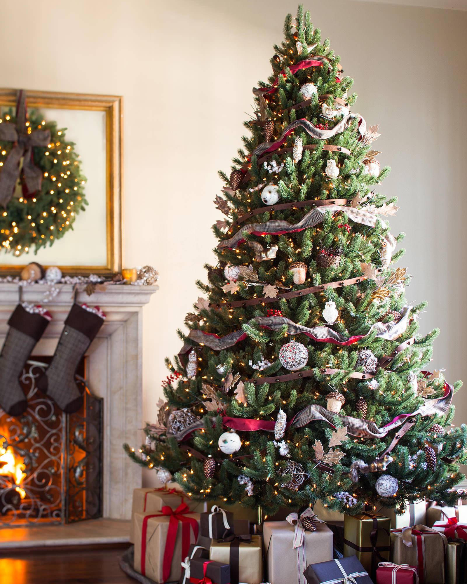 Christmas Trees Of Vermont Best Christmas Trees for Rooms with High Ceilings Balsam Hill