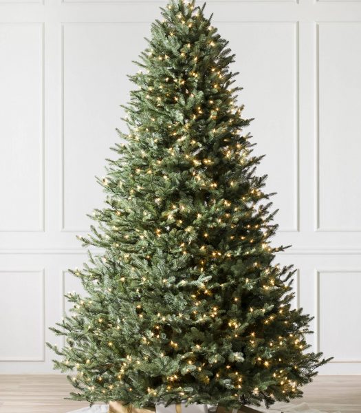 Fir, Spruce, or Pine? How to Tell Evergreens Apart Balsam Hill Blog