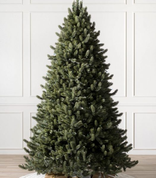 Fir, Spruce, or Pine? How to Tell Evergreens Apart Balsam Hill Blog