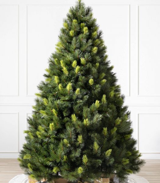 Fir, Spruce, or Pine? How to Tell Evergreens Apart Balsam Hill Blog
