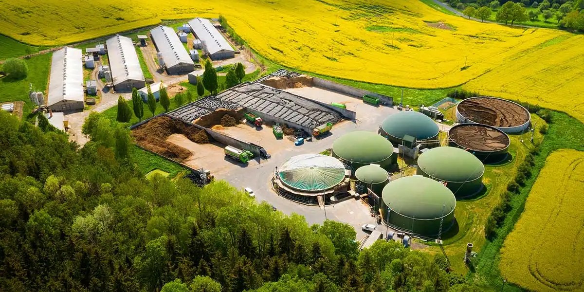 Biocombustíveis mais inteligentes para um futuro com baixo teor de carbono: o papel da IA