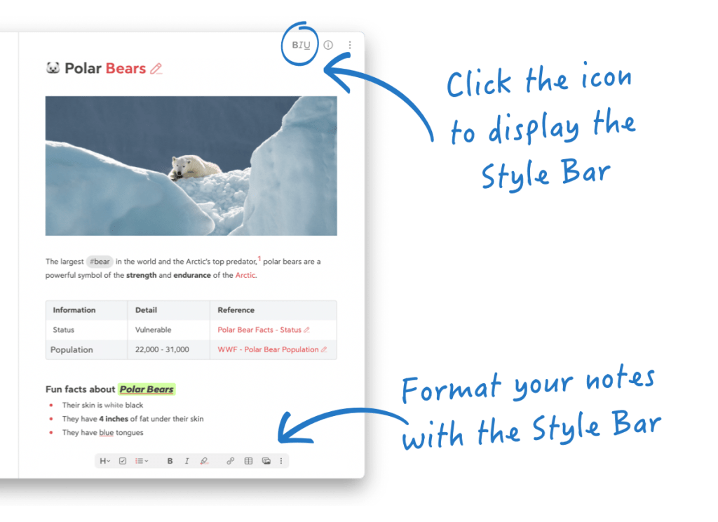Get started with Bear