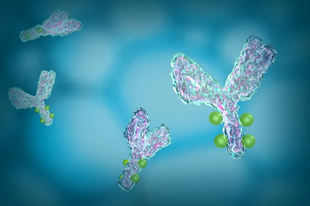 Antibody Drug Conjugates (ADCs) Next in Line for Cancer Therapeutics