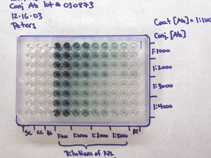Elisa Plate Template