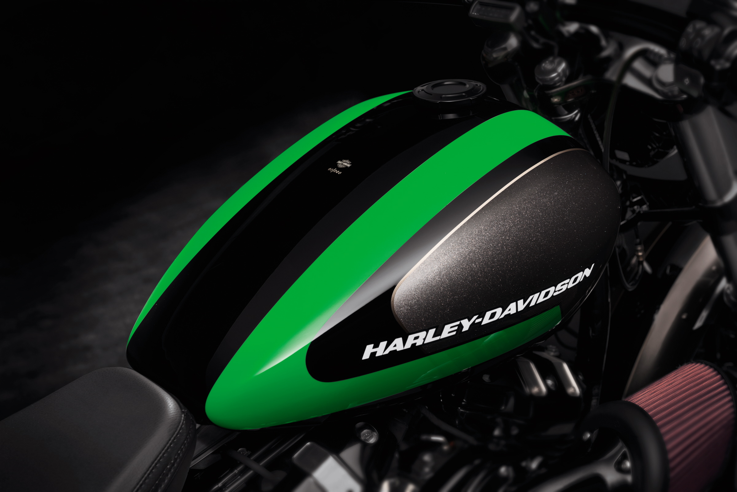 MAKE YOUR RIDE YOUR OWN WITH HARLEYDAVIDSON CUSTOM PAINT —