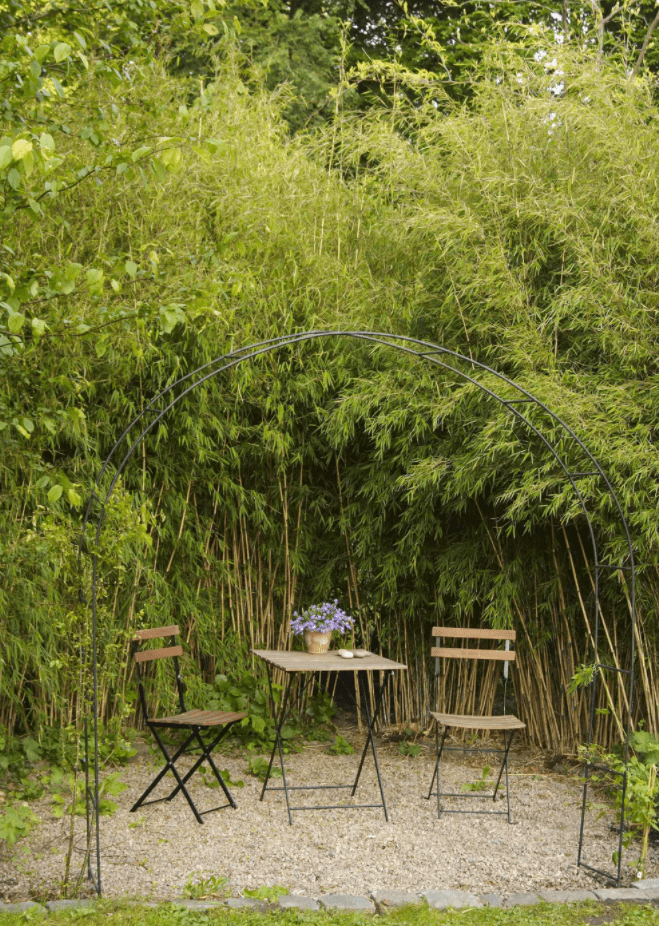 The Ultimate List of Garden Screening Ideas With Pics