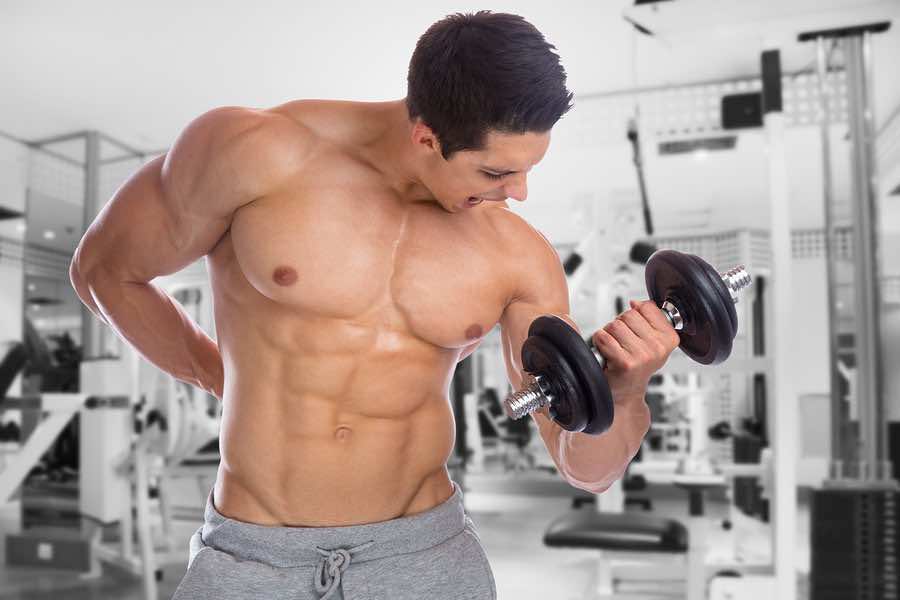 7 Reasons Why YOU Should Eat More Protein Rich Foods BiOptimizers Blog