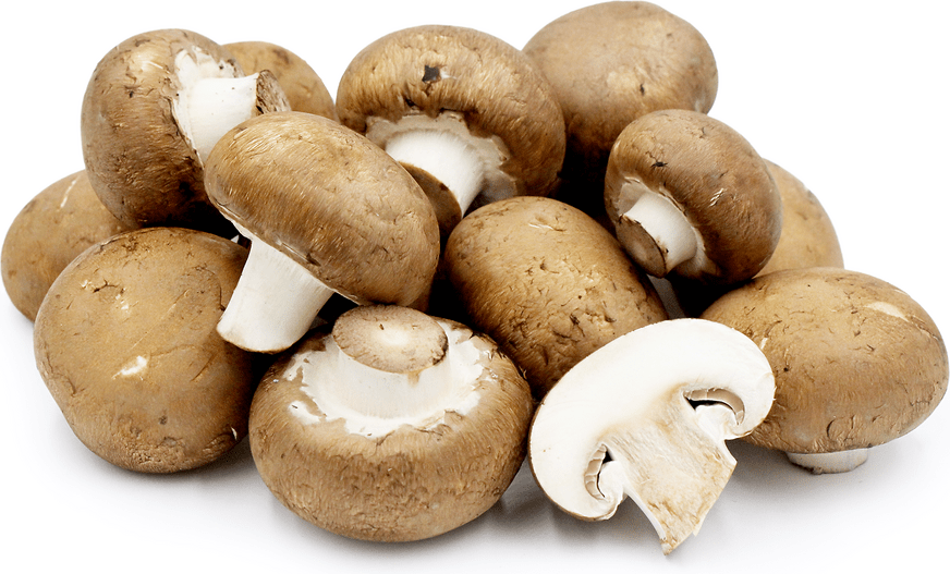 Health Benefits of Mushrooms See the Key Vitamins & Minerals BioTrust
