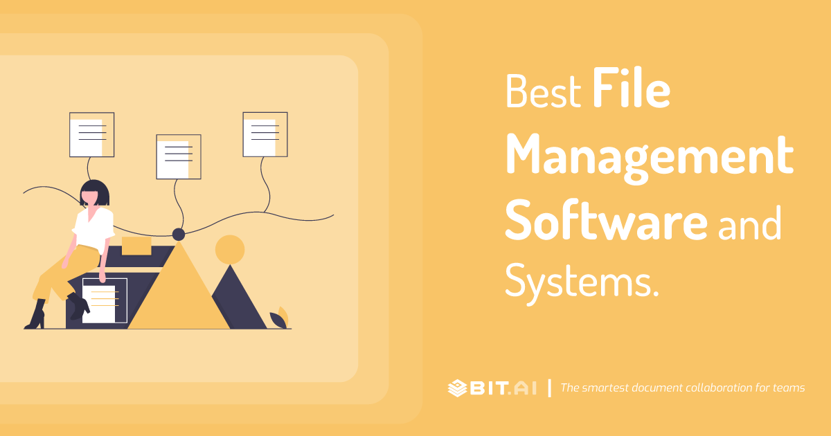 Best File Management Systems and Software in 2023 Bit Blog