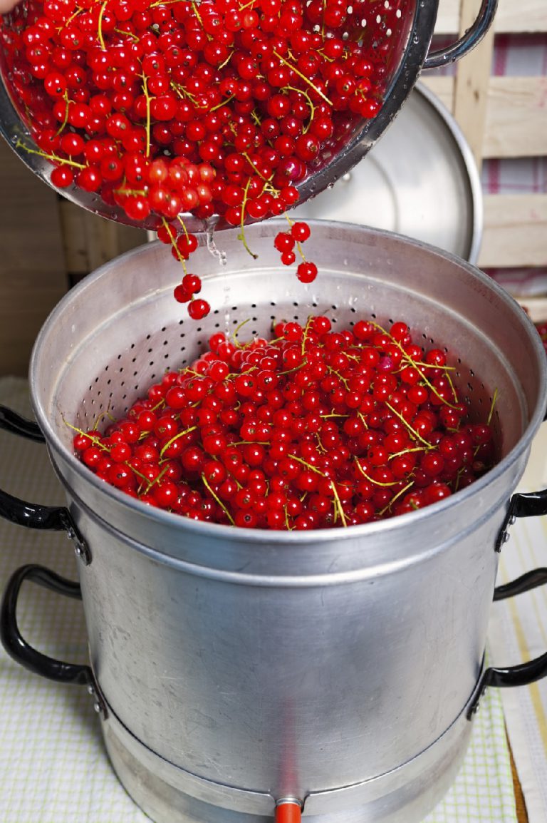 How to Use a Steam Juicer for Canning | Blain's Farm & Fleet Blog