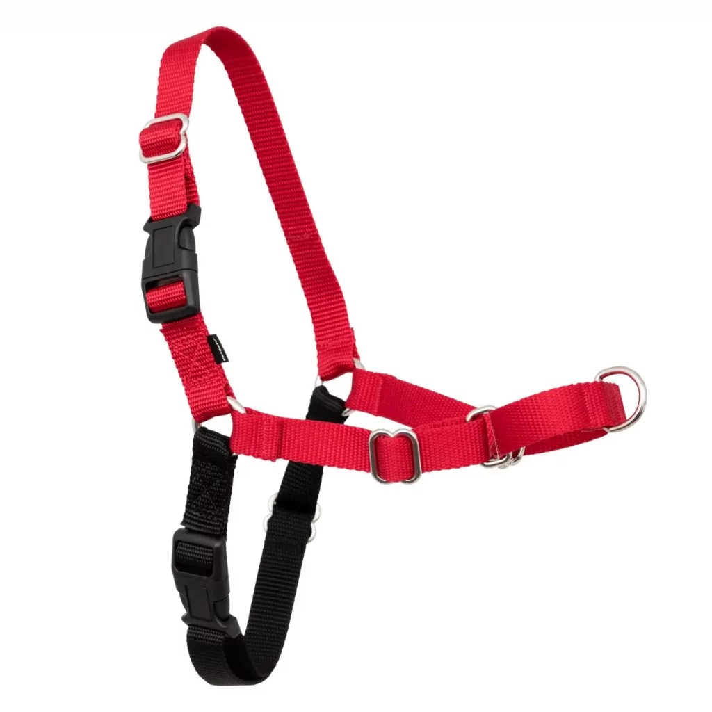 Top 10 Best Dog Harnesses Blain's Farm & Fleet Blog