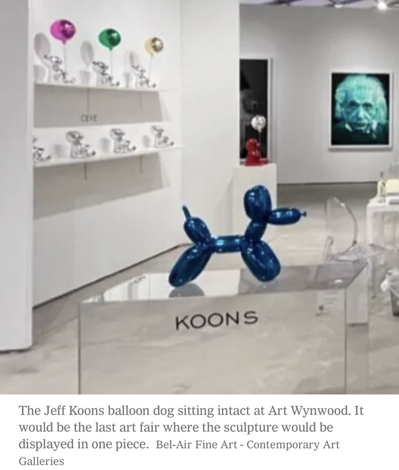Art Fair Visitor Breaks Jeff Koons Balloon Dog Sculpture Blankbaby