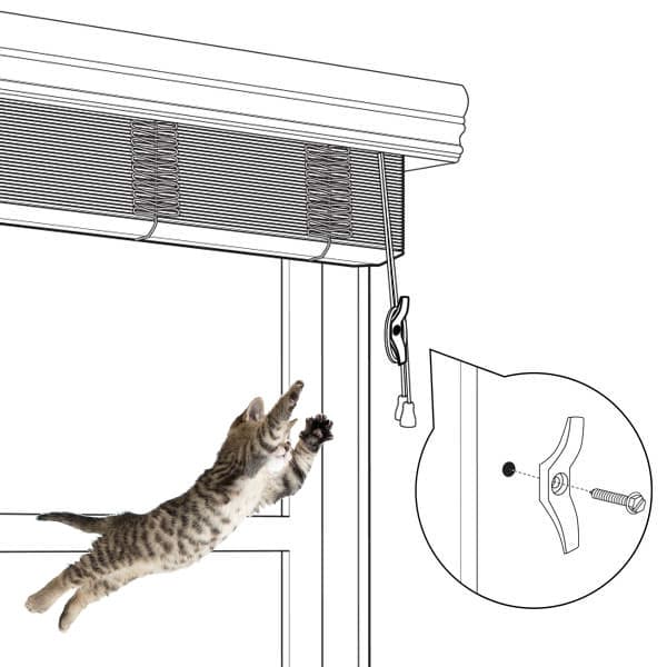 How to Keep Cats from Breaking Blinds The Finishing Touch