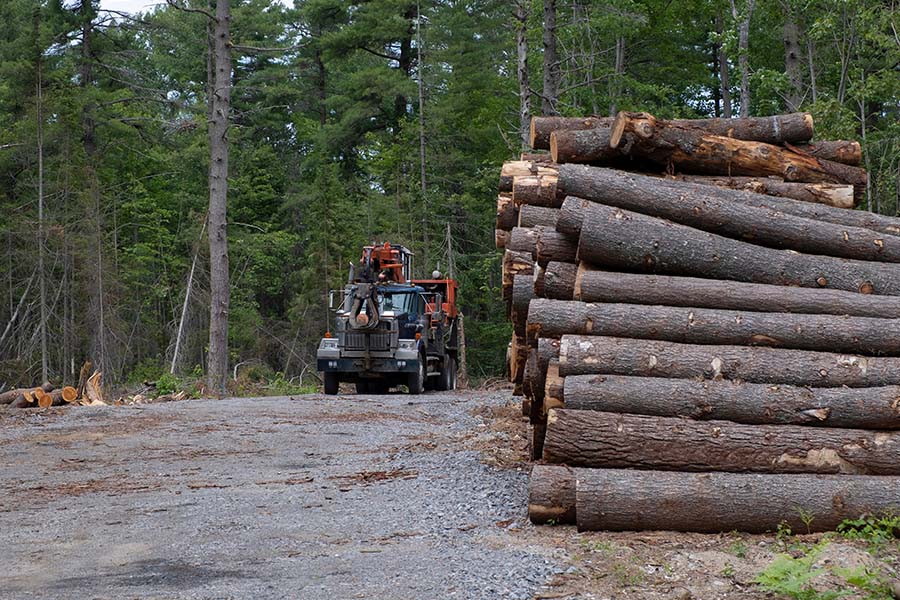Lumber Prices Are Down Again—But for How Long? Built