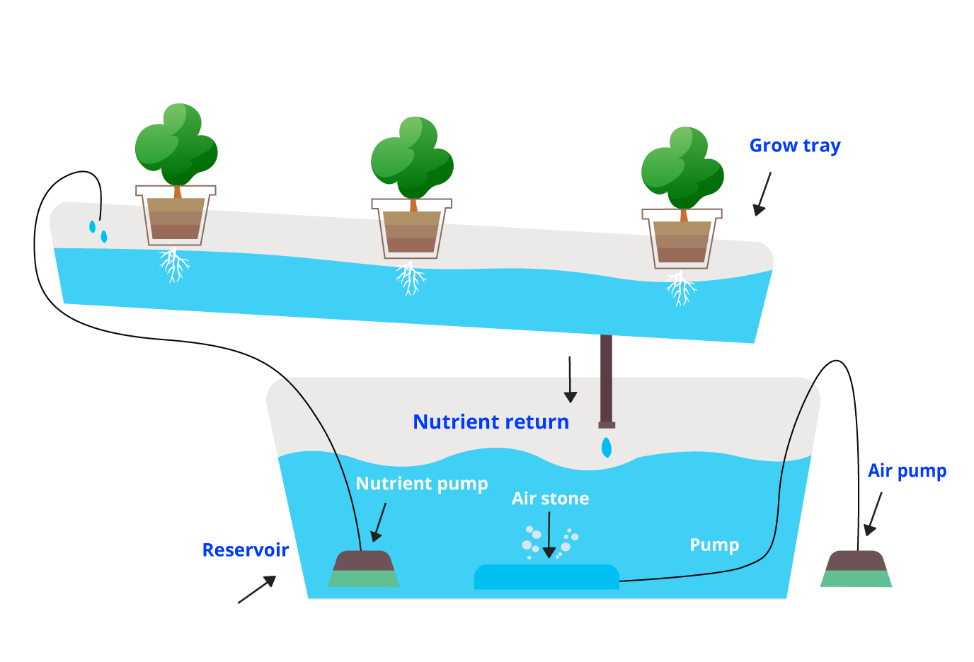 A beginner's guide to hydroponics