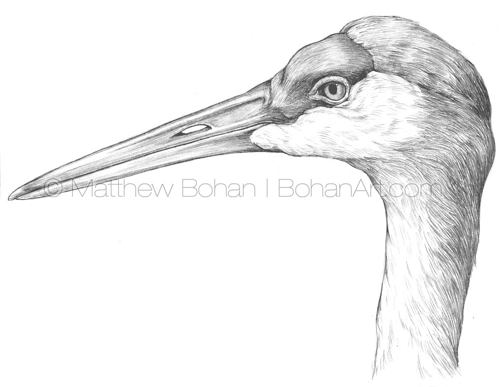 Bohan Art