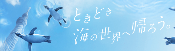 スカイツリータウンの「すみだ水族館」は、年間チケットがお得かも Take it easy! mauekusa 's BLOG