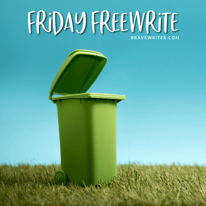 Friday Freewrite Day in the Life of a Kitchen Trashcan A Brave