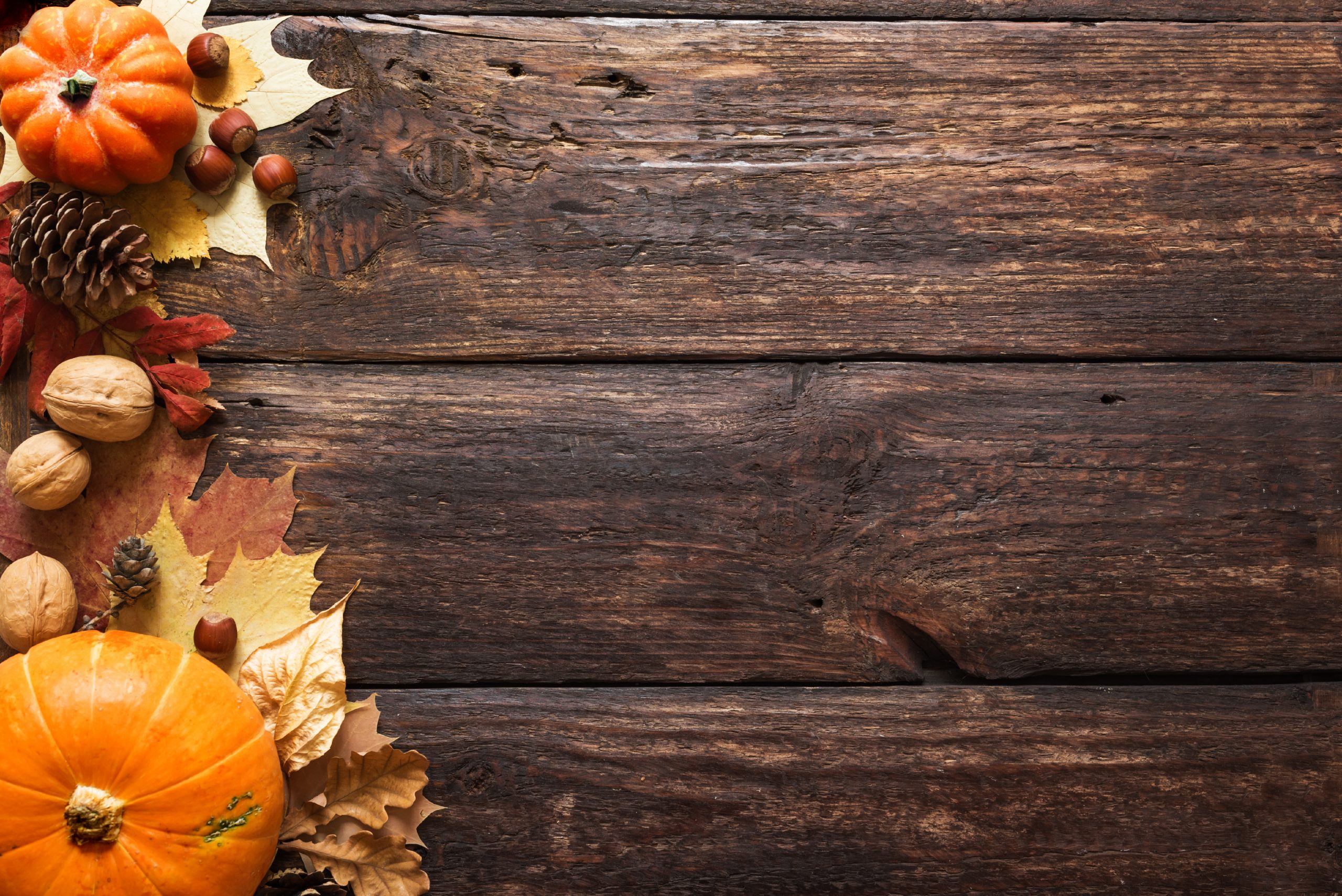 Soap Making Supplies for Beginners Bulk Apothecary Blog