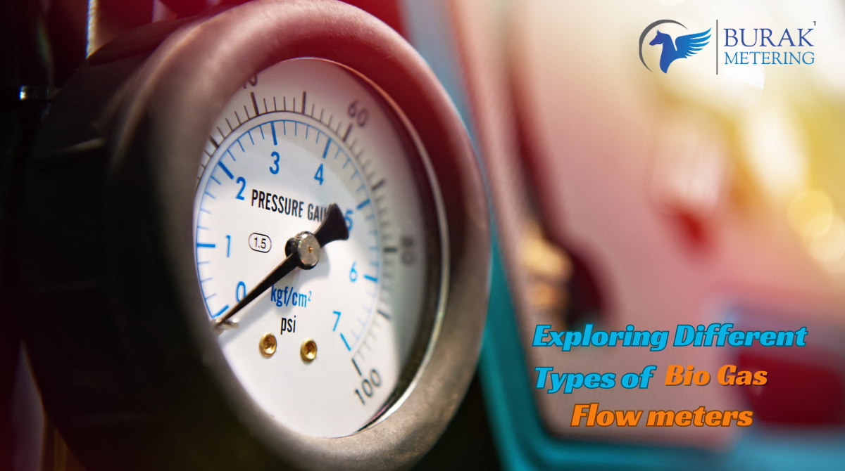 Exploring Different Types of Bio Gas Flow Meters