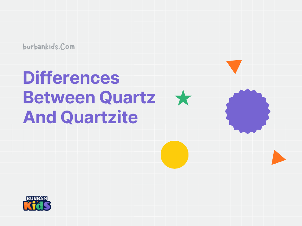 20+ Differences Between Quartz and Quartzite
