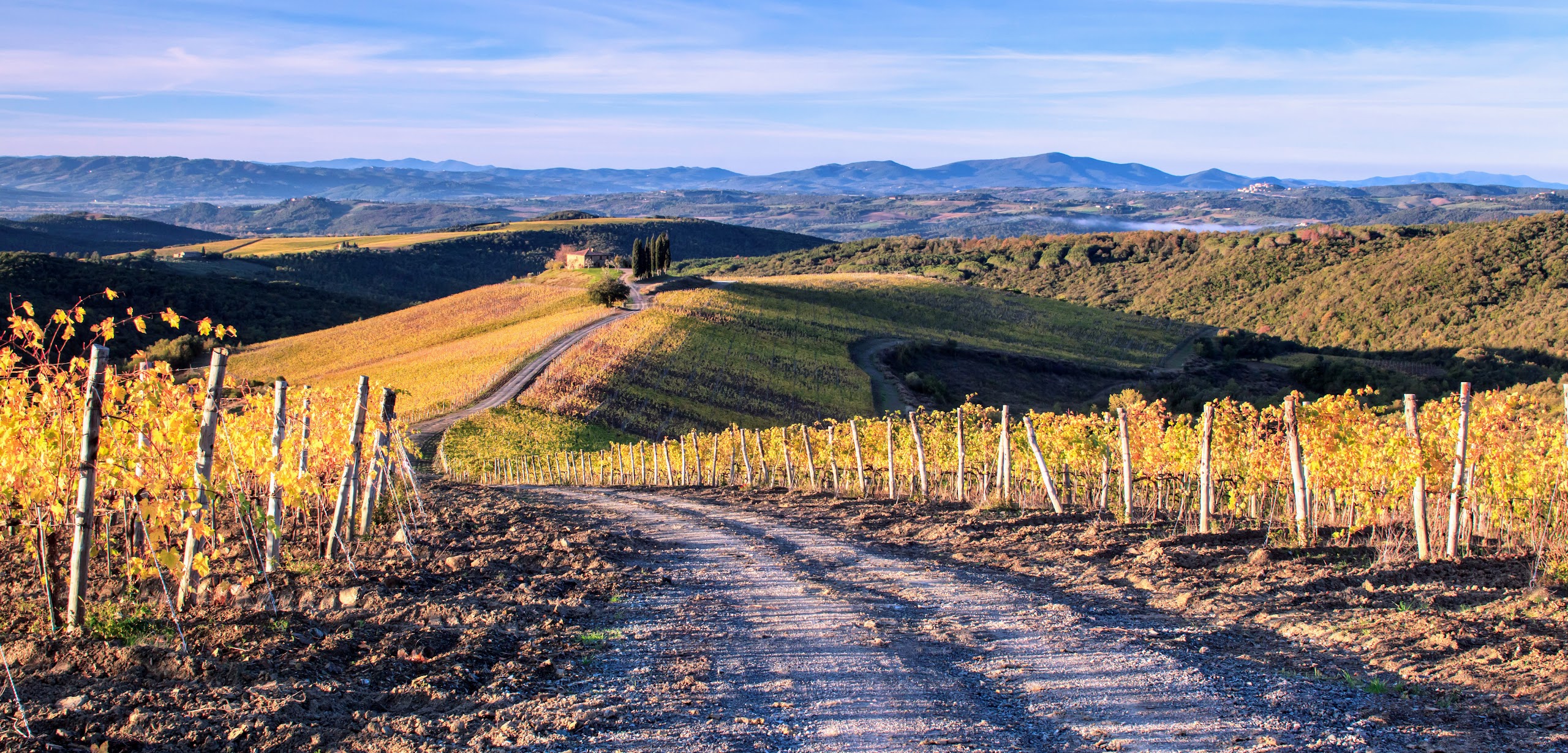8 of Our Absolute Favourite Tuscan Wines Butterfield & Robinson
