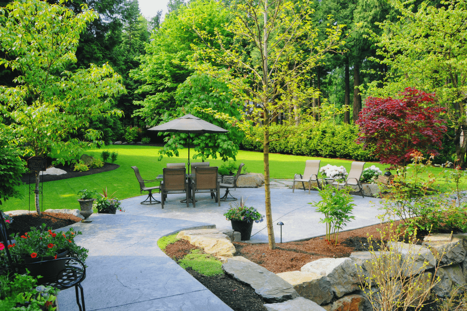 The Ultimate Guide to Landscaping Terms for Your Home Remodel