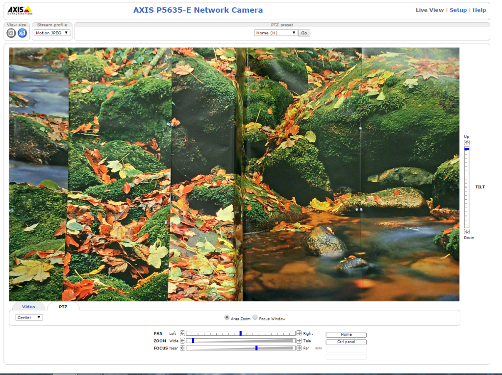 The Right Type of Zoom Digital Zoom vs. Optical Zoom A Blog that