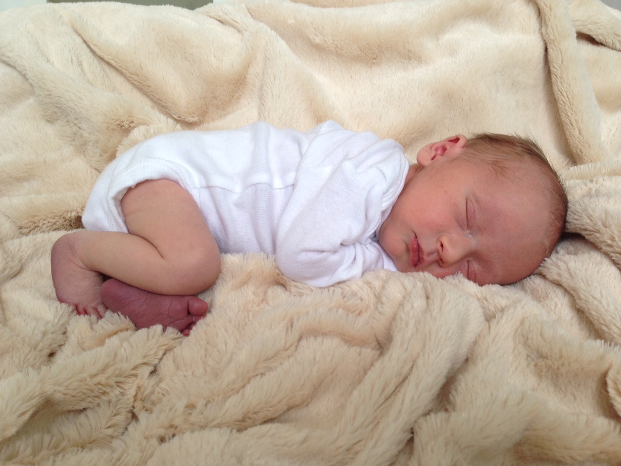 Bamboo Blankets are Angel Baby Soft Blog, News, and Updates Cariloha