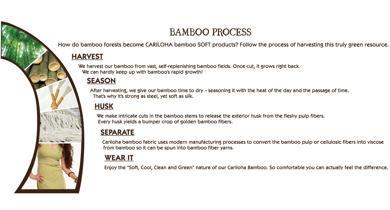 Infographic Cariloha Turns Hard Bamboo into CrazySoft Clothing Blog