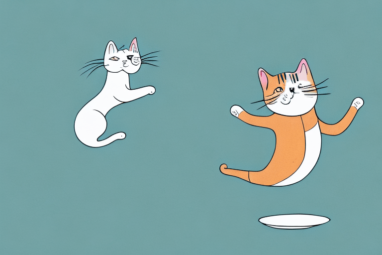 Why Do Cats Jump? Exploring the Reasons Behind Feline Leaping The Cat Bandit Blog