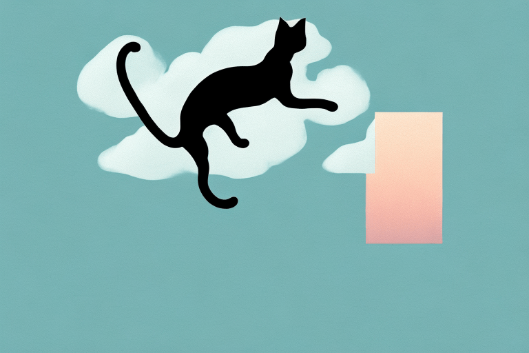 Discovering How Cats Can Jump So High The Cat Bandit Blog