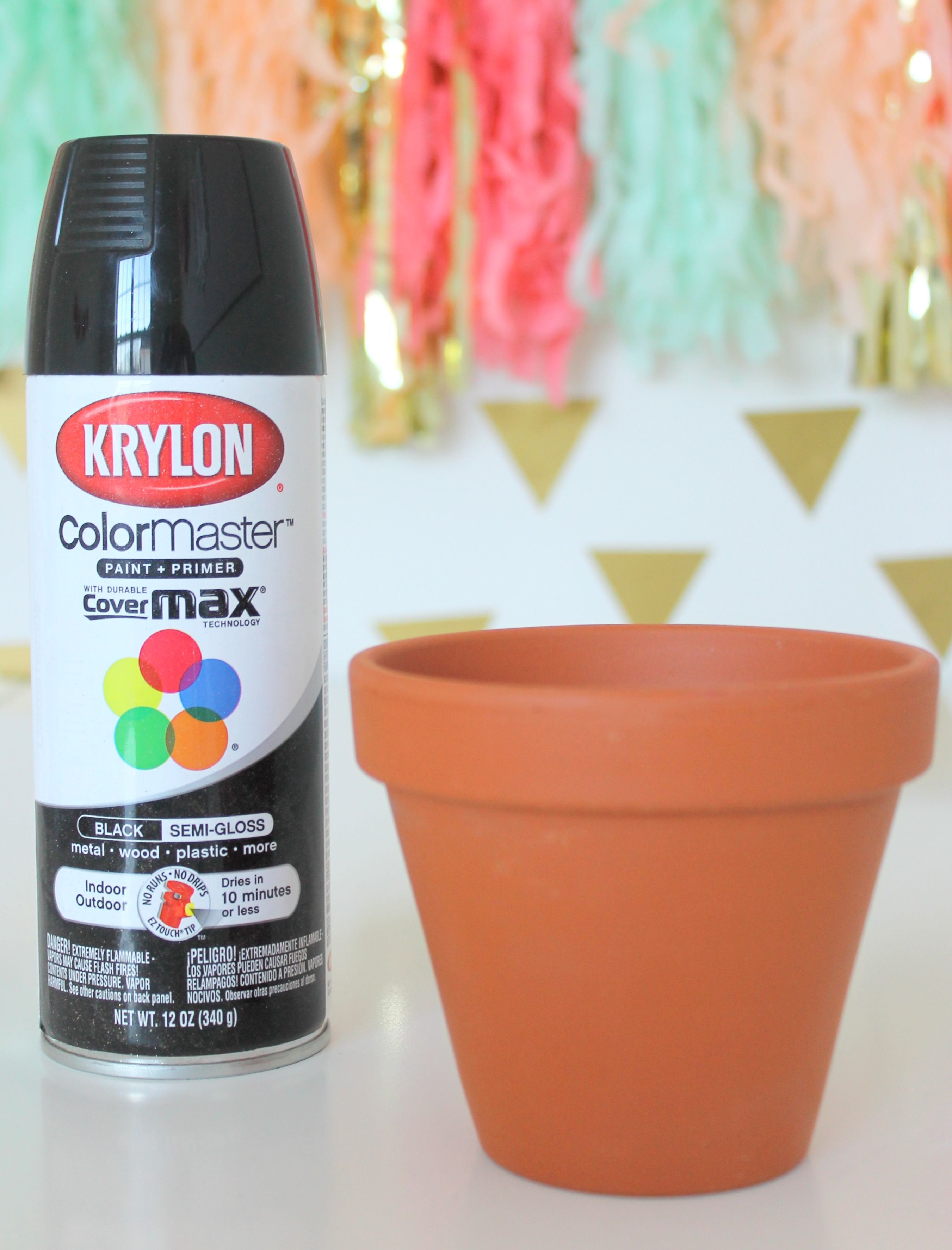 DIY Painted Planters Catch My Party