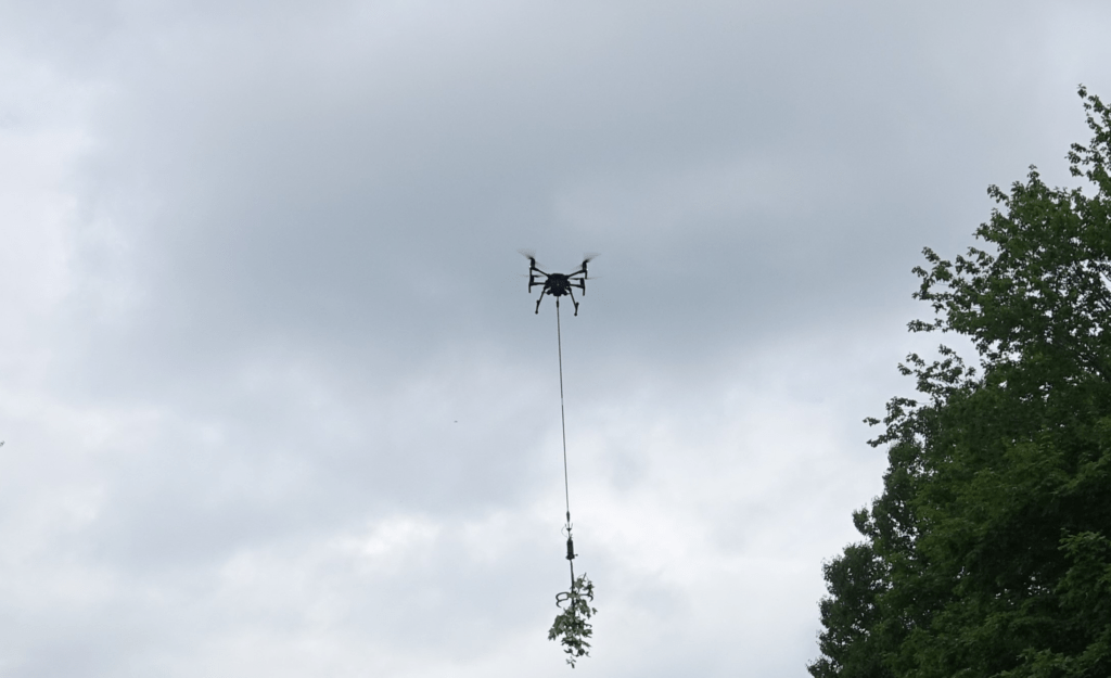 Saws on drones the latest tools in forest research Canadian Science