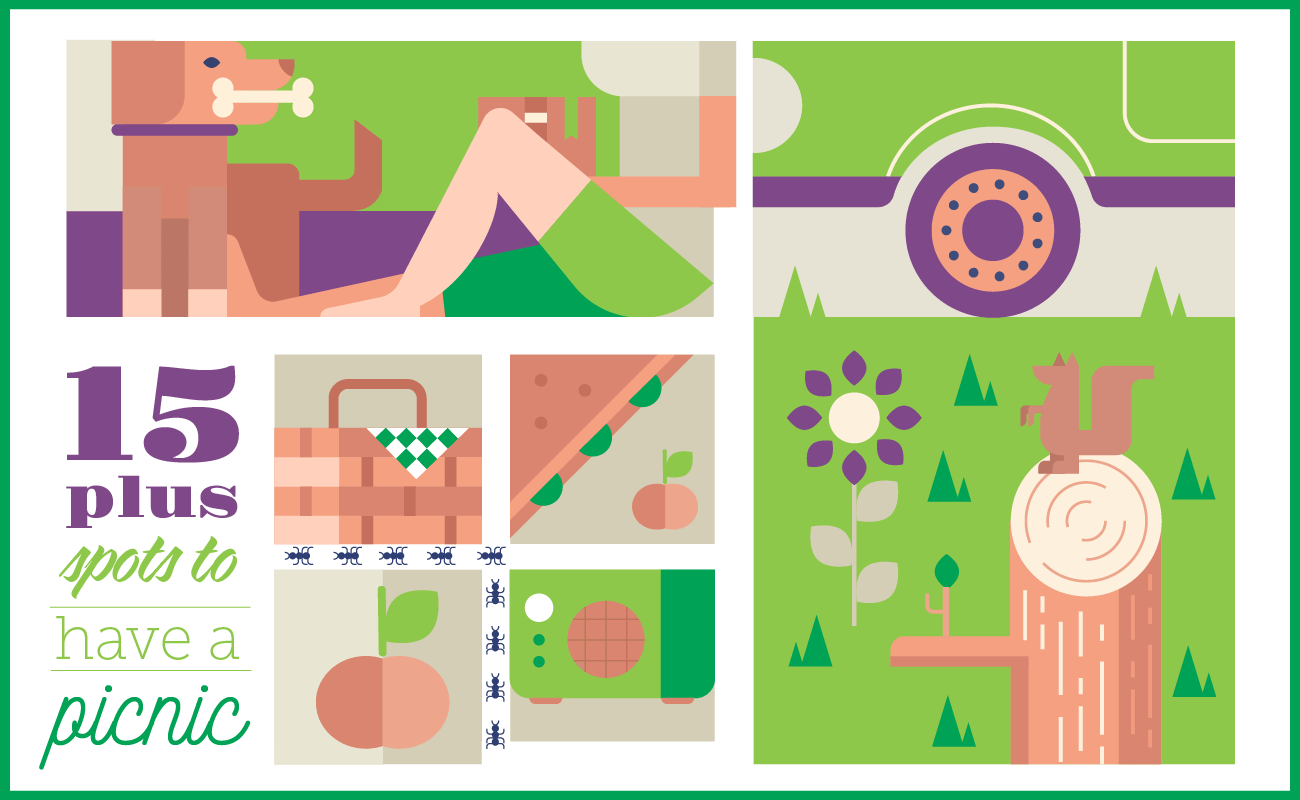 Prime Picnic Areas in Upstate New York The Daily Dose CDPHP Blog