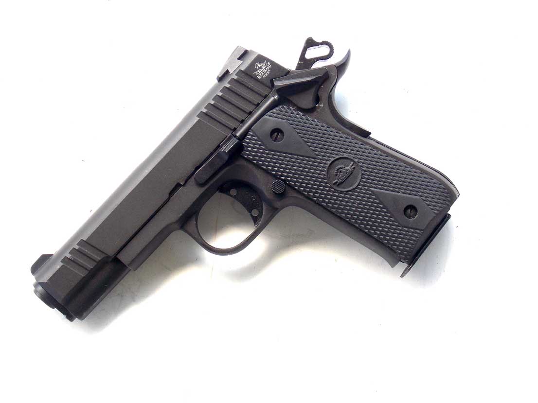 Rock Island Armory’s Baby Rock Rocks!