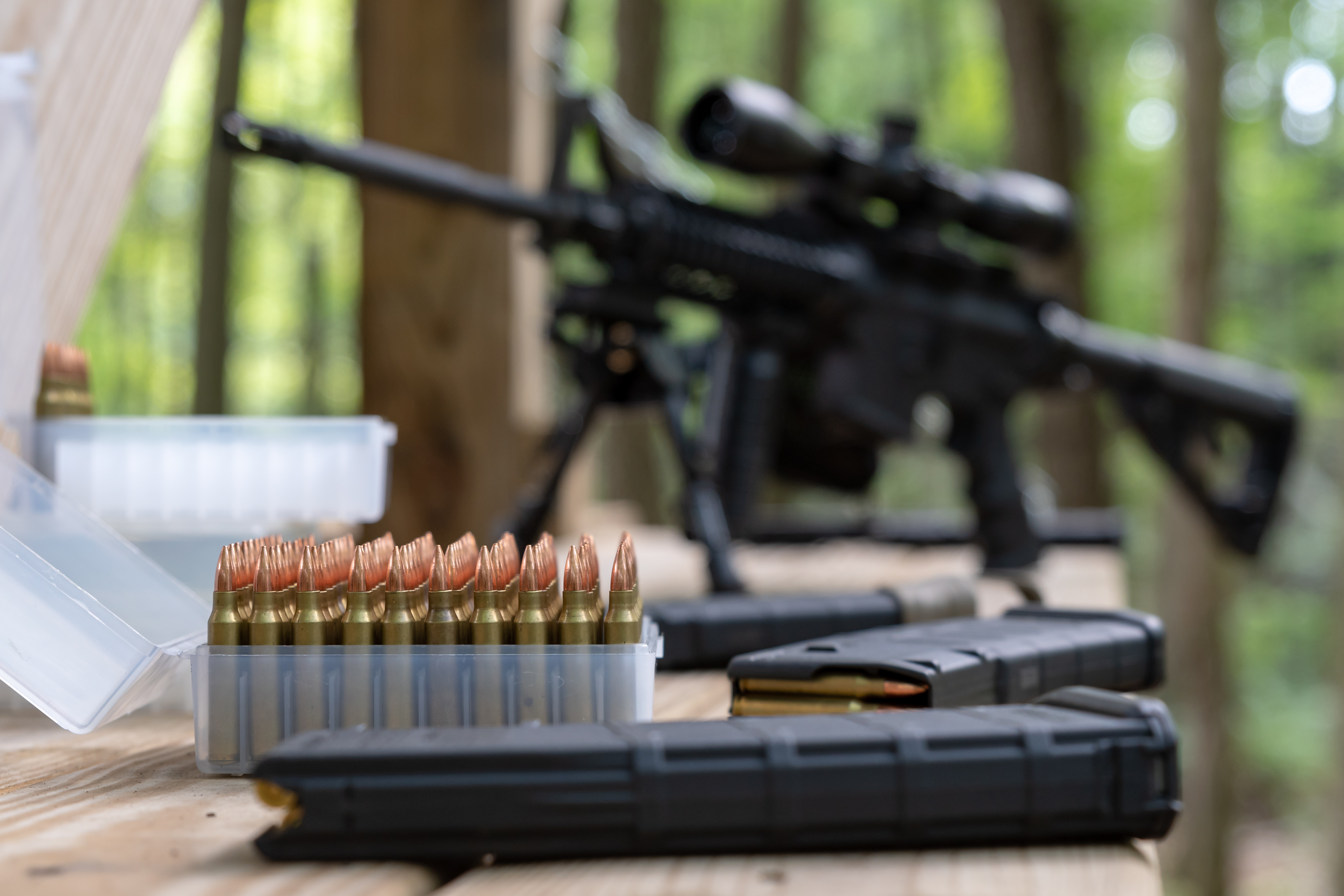 Best Practices for Hunting with an AR15 The Shooter's Log