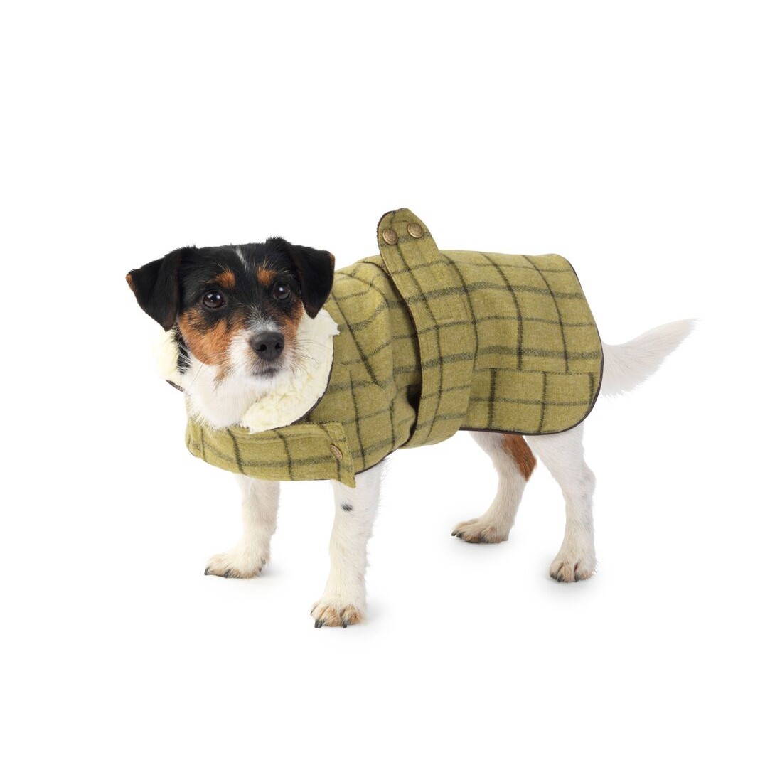 Best Luxury Dog Jackets Chelsea Dogs Blog