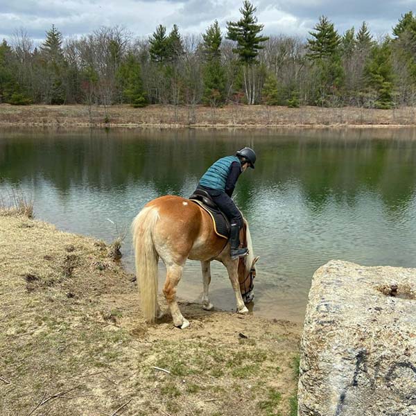 Explore New Hampshire On Horseback The Cheshire Horse
