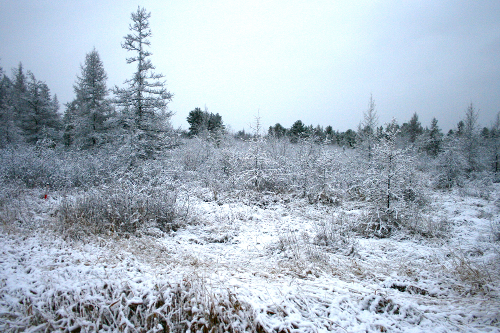 Tomahawk Real Estate and Information » Tomahawk