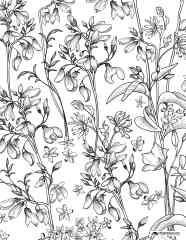Spring Printable Coloring Pages