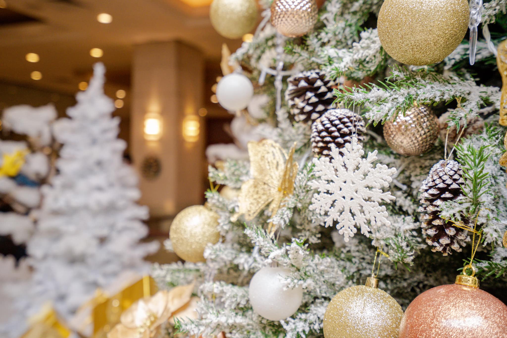 Your Holiday Guide for Christmas in Colombo! Cinnamon U