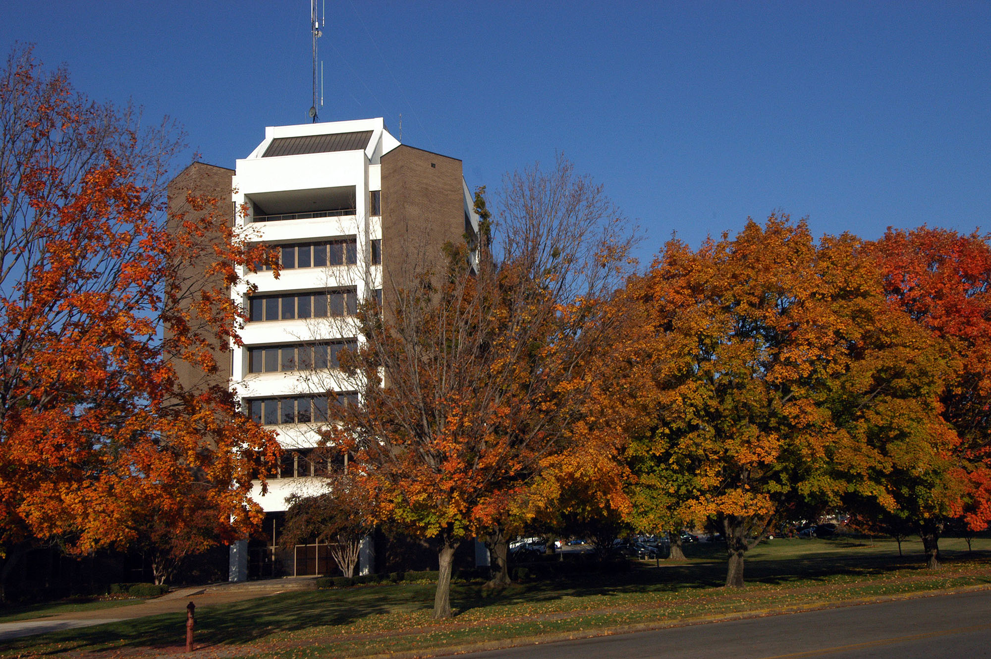 Decatur celebrates a tennis state championship Official Blog of