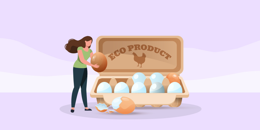 Best Eggs to Buy A Comprehensive Guide to Buying Eggs