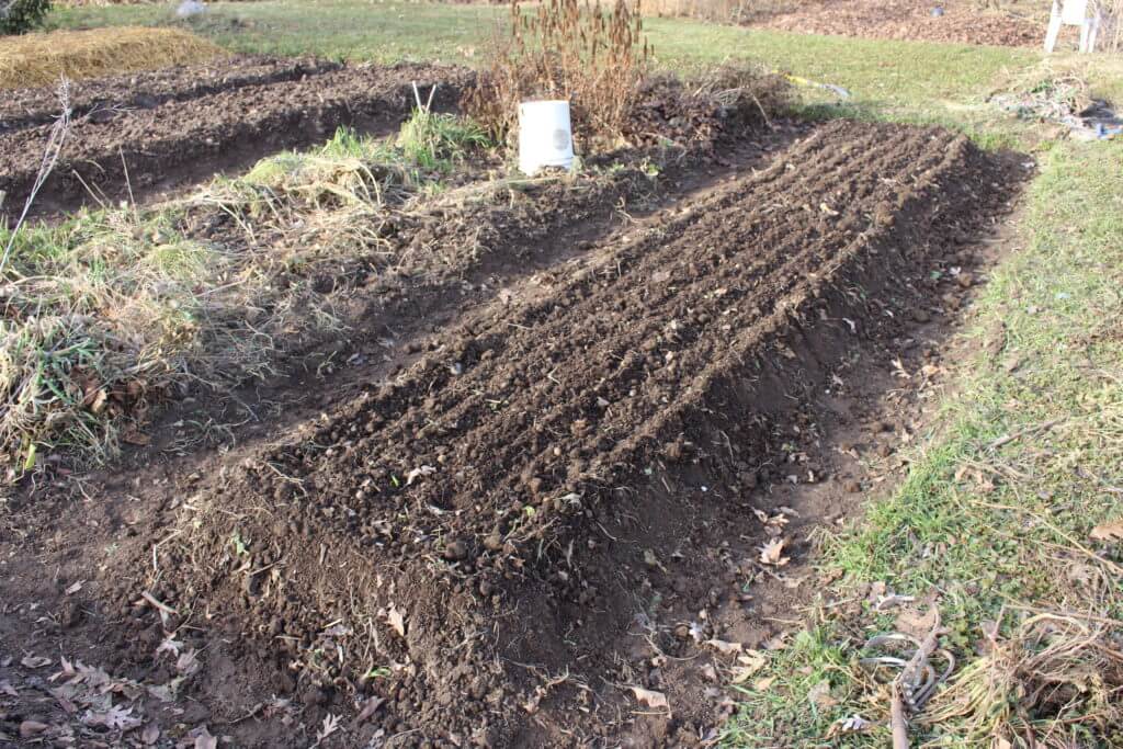 Prepping Open Raised Beds for Winter The CobraHead Blog